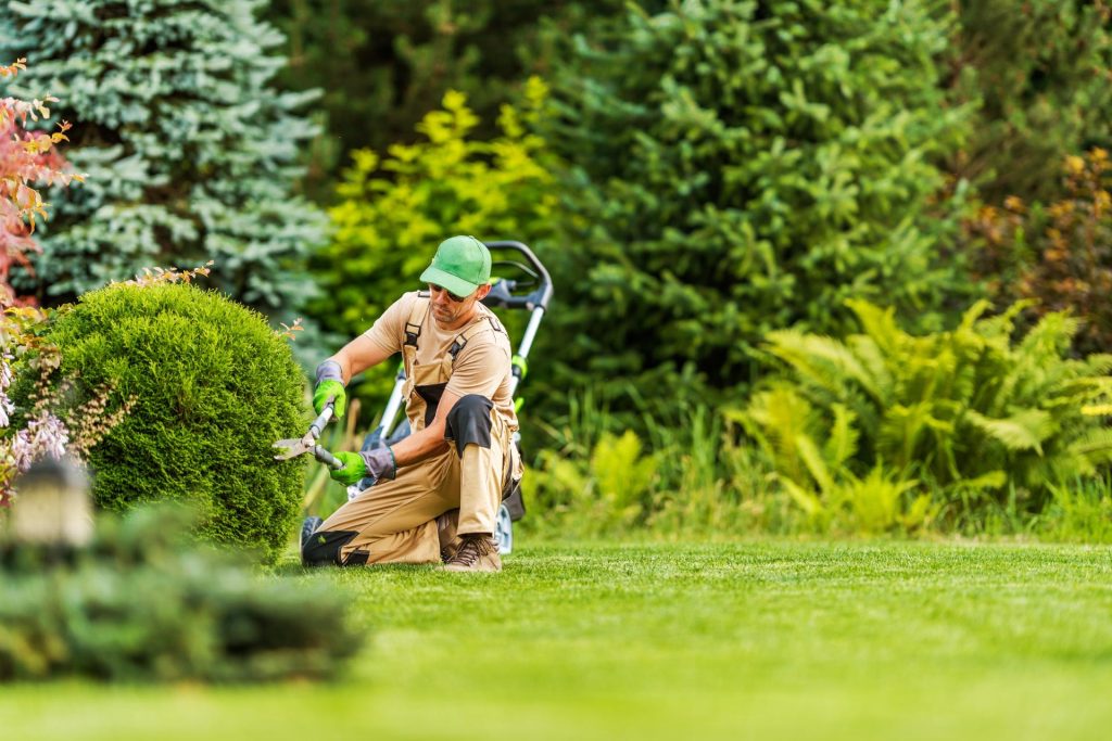 Hombre cortando un arbusto en un jardín